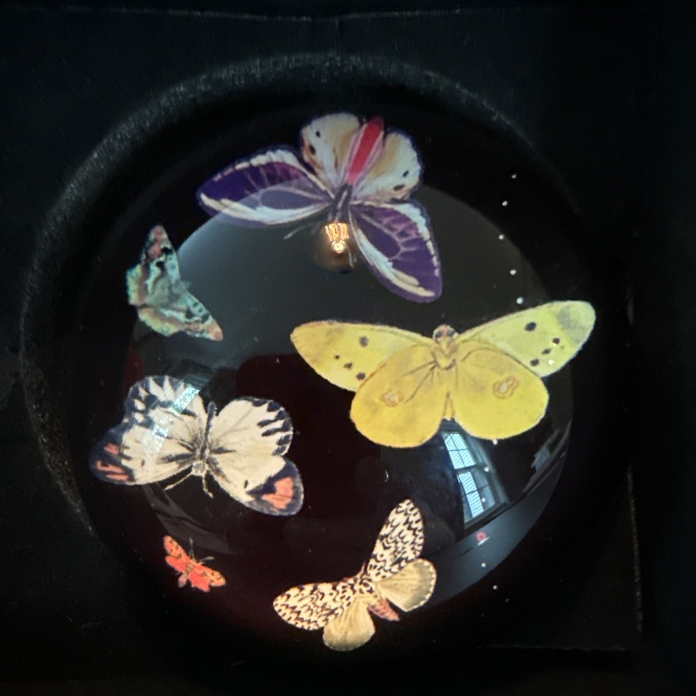 Tozai Home glass  Paperweight Butterflies Velvet Bottom 3" Box Incl